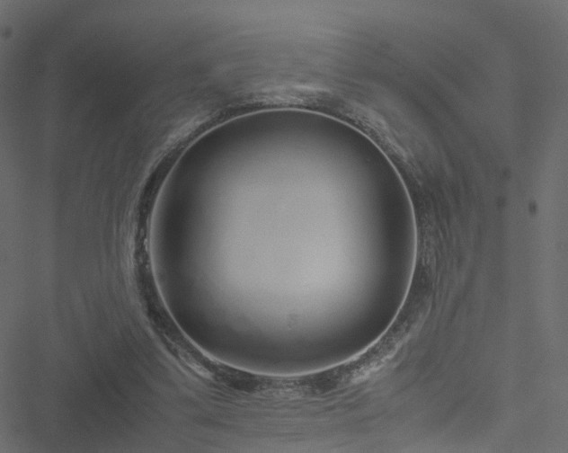 X0000051250299200506241553