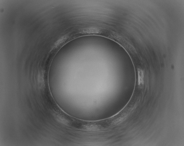 X0000051250300200506241553