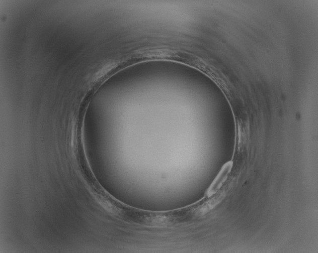 X0000051250301200506241553