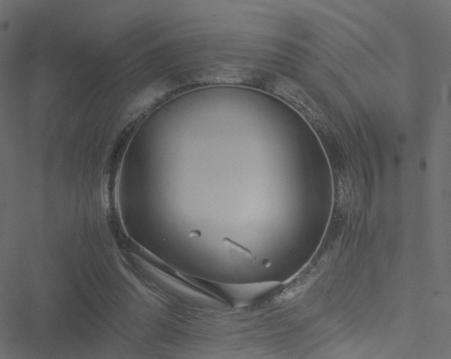 X0000051250302200506241553