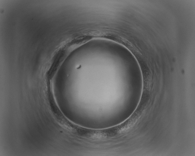 X0000051250303200506241553