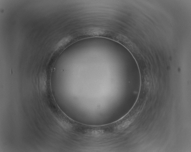 X0000051250304200506241553