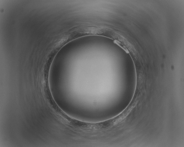 X0000051250305200506241553