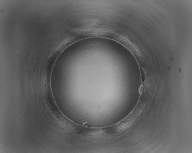 X0000051250306200506241553