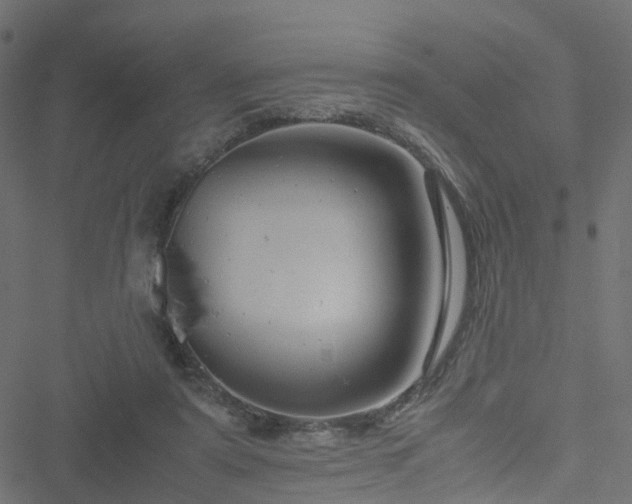 X0000051250307200506241553