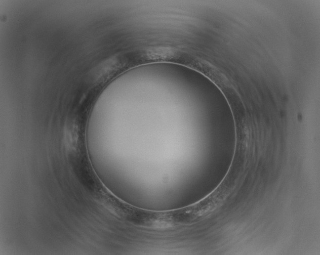 X0000051250308200506241553