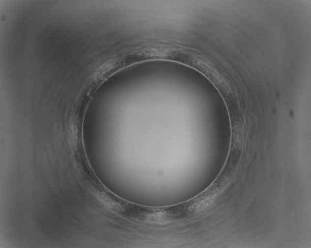 X0000051250309200506241553