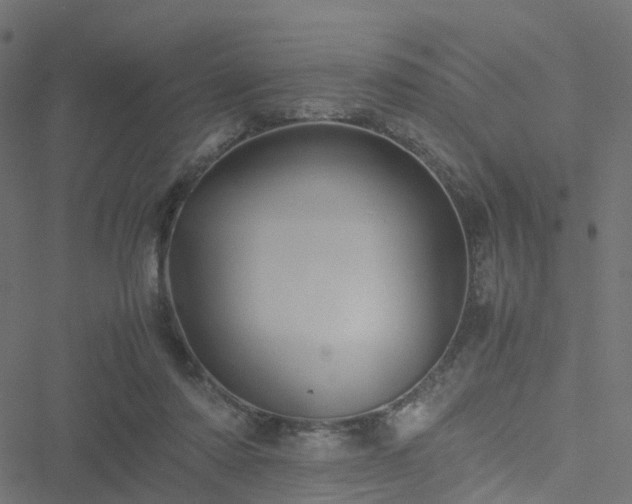 X0000051250310200506241553