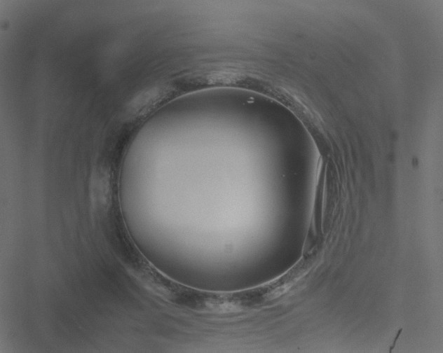 X0000051250311200506241553