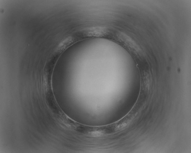 X0000051250312200506241553