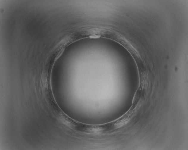 X0000051250313200506241553