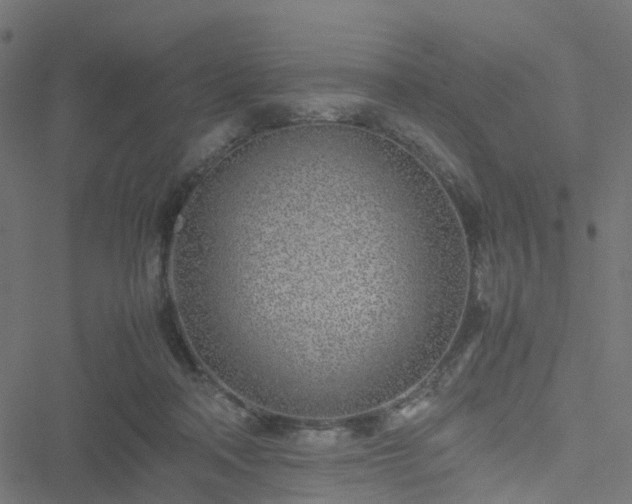 X0000051250314200506241553