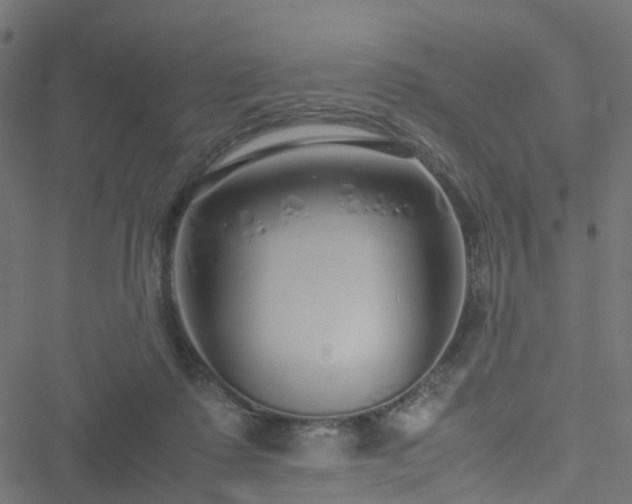 X0000051250315200506241553