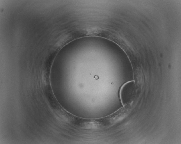 X0000051250316200506241553