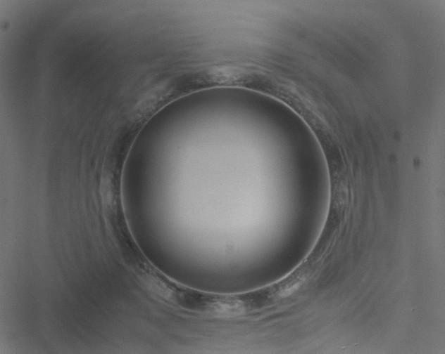 X0000051250317200506241553