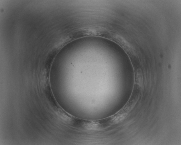 X0000051250318200506241553