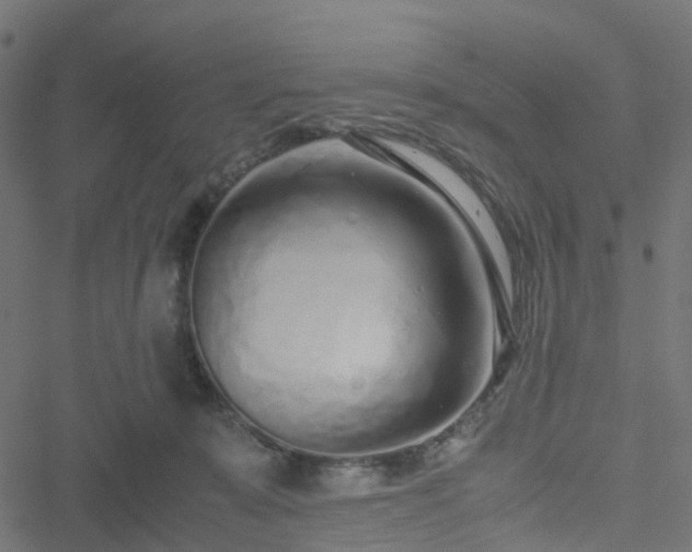 X0000051250319200506241553