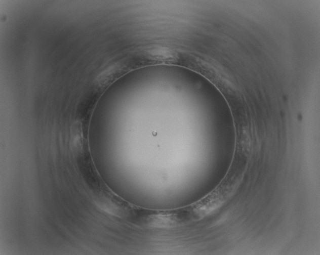 X0000051250320200506241553