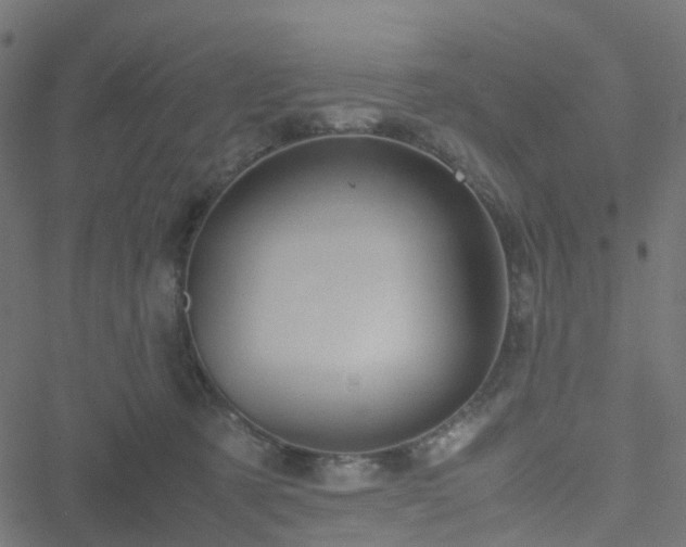 X0000051250321200506241553