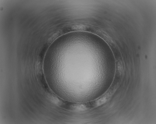 X0000051250322200506241553