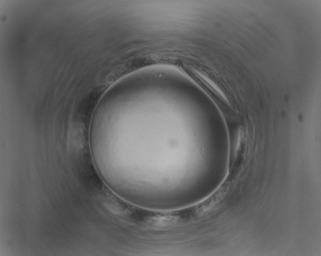 X0000051250323200506241553