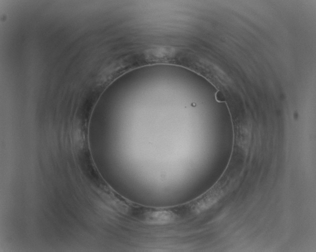 X0000051250324200506241553