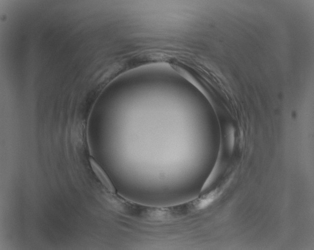 X0000051250325200506241553