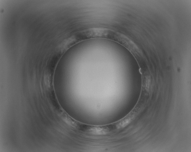 X0000051250326200506241553