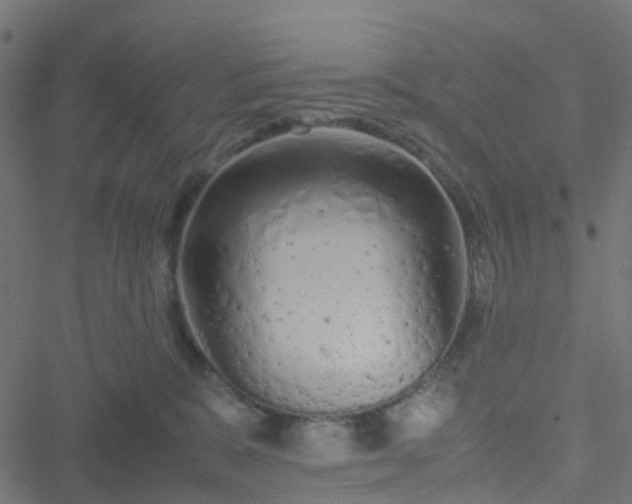 X0000051250327200506241553