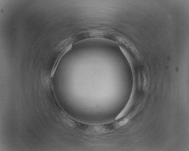 X0000051250329200506241553