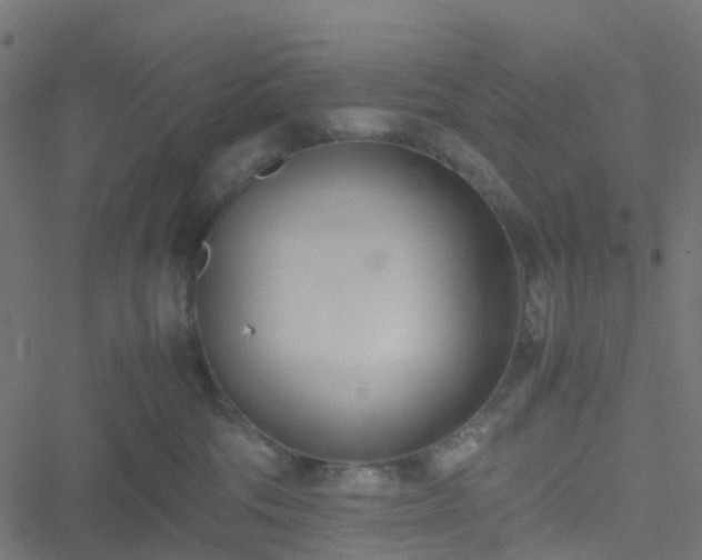 X0000051250330200506241553