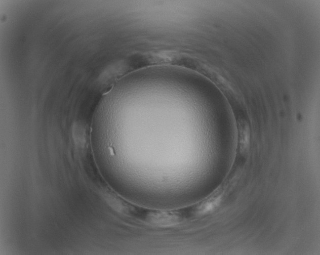 X0000051250331200506241553