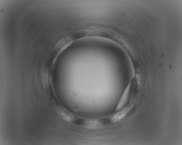 X0000051250333200506241553