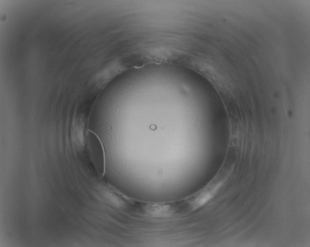 X0000051250334200506241553