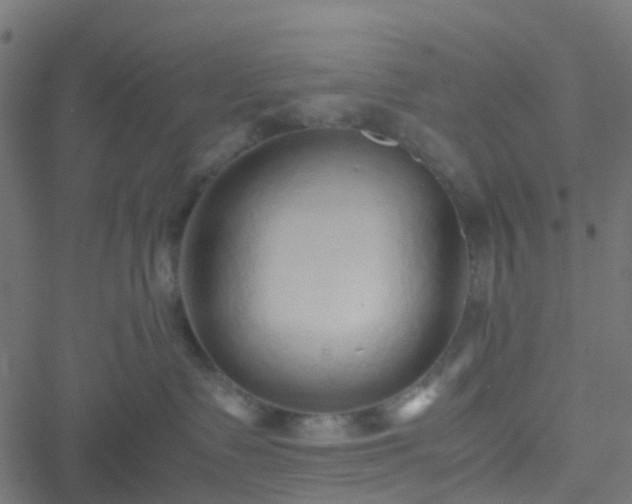 X0000051250335200506241553