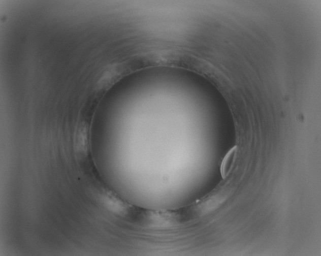 X0000051250336200506241553