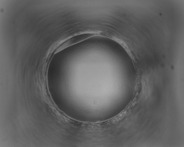 X0000051250337200506241552