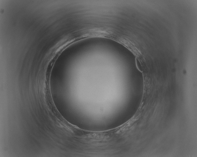 X0000051250338200506241552