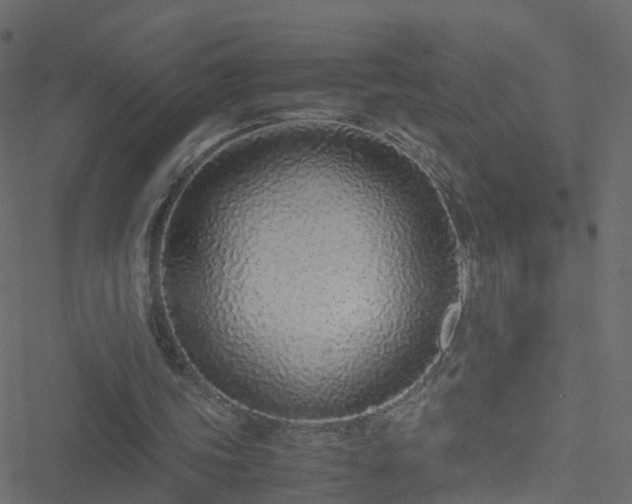 X0000051250339200506241552