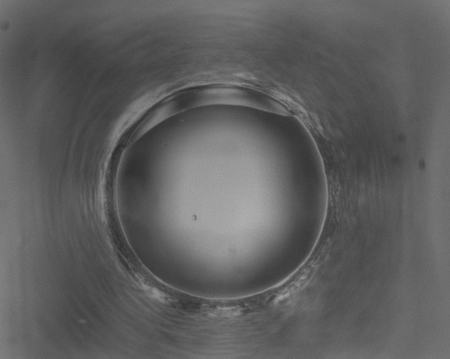 X0000051250340200506241552