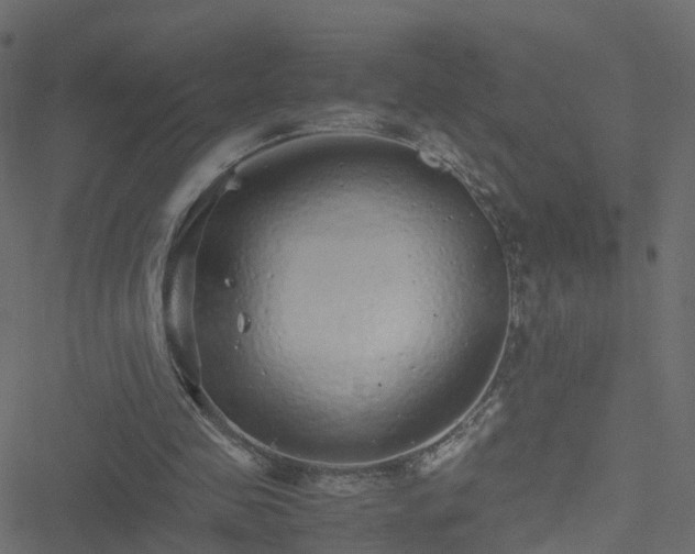 X0000051250341200506241552