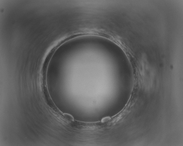 X0000051250342200506241552