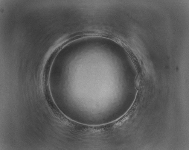 X0000051250343200506241552