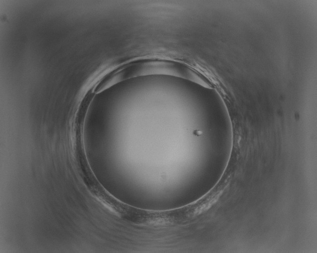 X0000051250344200506241552