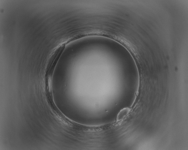 X0000051250345200506241552