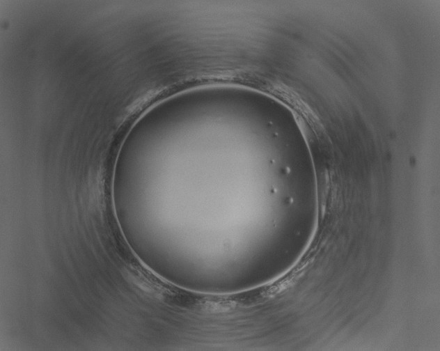 X0000051250346200506241552