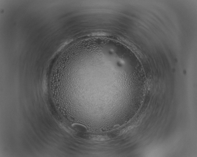 X0000051250347200506241552