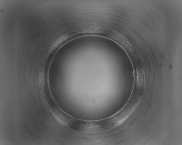 X0000051250348200506241552