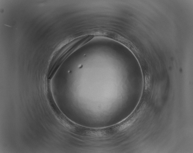 X0000051250349200506241552