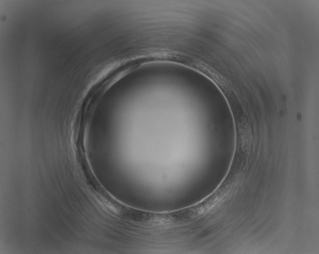 X0000051250350200506241552